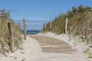 Northern Germany Shoreline Drucke: Beach access, Steinwarder peninsula