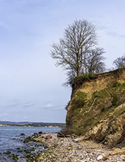 Baltic Sea Coastline Germany Drucke: On the beach at Alt-Reddevitz, Rugen