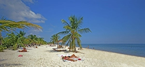 Deserted Beach In America Drucke: Beach, Beach holidaymakers sunbathing, Key West, Florida, USA, North America