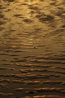 No People Beach Scene Drucke: Beach at low tide in the evening light