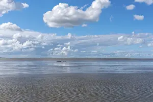 Northern Germany Coastline Drucke: Beach at low tide, mudflat walker