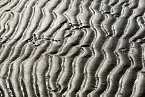 Lower Saxony Waterfront Drucke: Beach at low tide with wave-like pattern