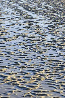 Norderney Coastline Drucke: Beach at low tide with wave-like pattern
