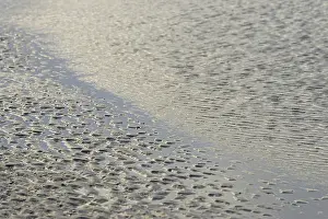 Northern Germany Shoreline Drucke: Beach at low tide with wave-like pattern
