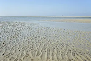 Low Tide Landscape Drucke: Beach at low tide with wave-like structure