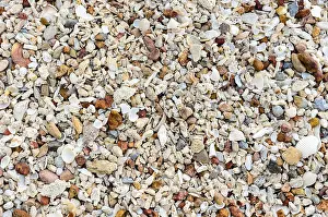 Uninhabited Shoreline Landscape Drucke: Beach with many old shells and multi-colored stones