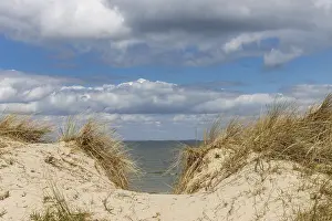 Baltic Sea Coastline Drucke: Beach path