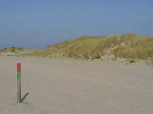 Sandy Beaches In Northern Germany Drucke: Beach with sand and dunes in the background