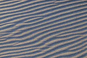 Pacific Ocean Beach Drucke: Beach, Sand, Pattern, Wind, Sea