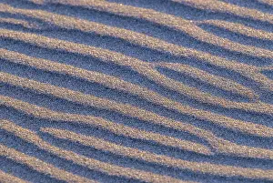 Deserted Pacific Beach Drucke: Beach, Sand, Pattern, Wind, Sea