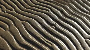 Deserted Beach Landscape Drucke: Beach Sand wavy pattern abstract background