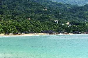 Trindade Beach Drucke: Beach surrounded by forest in Trindade