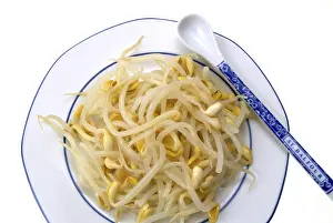 Bean Sprouts Nutrition Drucke: Bean sprouts