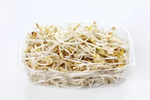 Bohnerbsen in einem Plastikbecher.