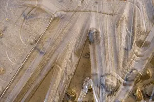 Frozen Lake Scene Drucke: Beautiful abstract ice pattern at a lakeshore