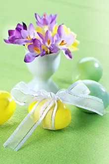 Spring Awakening Flowers Drucke: Beautiful Crocuses for Easter and eggs