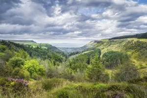 Northern Ireland Landscape Drucke: Beautiful green valley with forests and fields