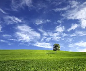 Agrarian Landscape Photography Drucke: Beautiful planet