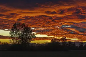 Cloudy Sky With Setting Sun Drucke: A beautiful sunset with a tree in the background