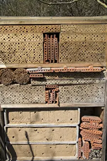 Ecofriendly Nesting Site Drucke: Bee hotel