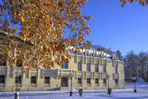 Lower Austria Scenery Drucke: Beech leaves and wintry castle