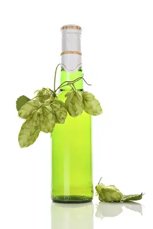 Beer Bottle Studio Shot Drucke: Beer bottle with hops isolated on white background