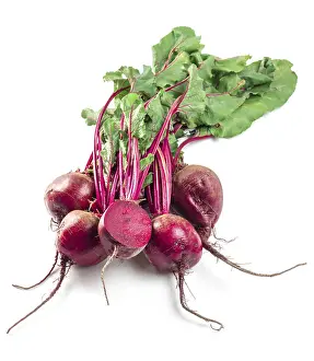 Fresh Beets Drucke: Beet, beetroot bunch on white background