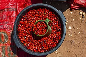 West African Archipelago Drucke: Beetlenuts in bin, Bubaque island