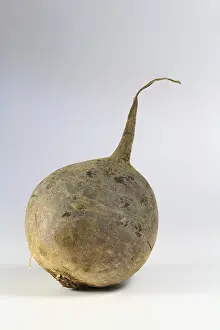 Beet Root Nutrition Facts Drucke: Beetroot