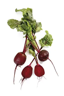 Vegetarian Food Options Drucke: Beetroot