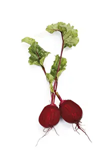 Beetroot Nutrition Drucke: Beetroot