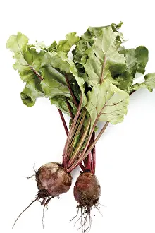 Beetroot Nutrition Drucke: Beetroot