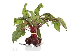 Beetroot Nutrition Drucke: Beetroot