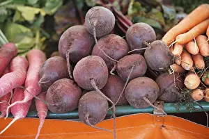 Beta Vulgaris Drucke: Beetroot (Beta vulgaris), beetroot