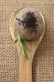 Food Studio Shot Drucke: Beetroot on a wooden spoon