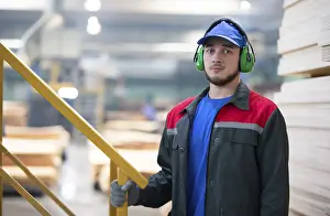 Eastern European Industry Drucke: Belarus, Gomil. Wood processing plant