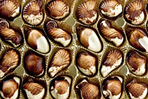 Full Frame Studio Still Life Drucke: Belgian chocolate seashells