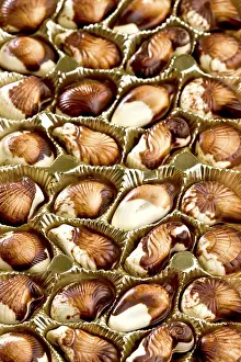 Full Frame Food Photography Drucke: Belgian chocolate seashells