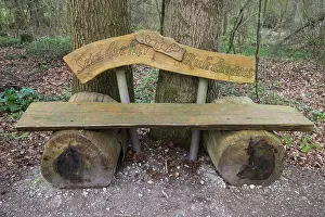 Bavarian Nature Photography Drucke: Bench on a forest path, Franconia