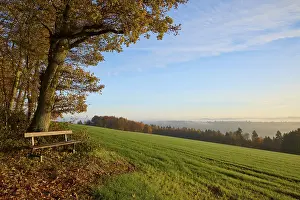 Cloudy Sky Landscape Photo Drucke: Bench, grain field, forest, clouds