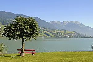 European Mountain Ranges Drucke: Bench, tree, riverside, view, mountains