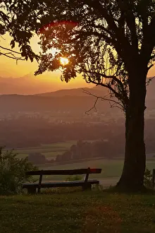 Evening Sky Atmosphere Drucke: Bench under a tree, sunset, Podgrad