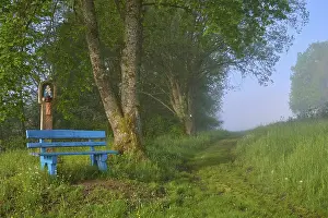 Wayside Crucifix Drucke: Bench, wayside shrine, path, tree
