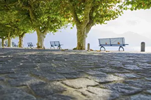 Deserted Central Europe Drucke: Benches and a Trees with Sunlight in Ascona
