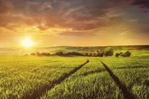 Lens Flare Photography Drucke: Beuatiful sunset in fields of Moravia