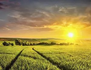 Evening Farmland Scene Drucke: Beuatiful sunset in fields of Moravia