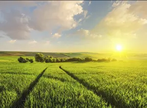 Hilly Countryside Landscape Photo Drucke: Beuatiful sunset in fields of Moravia