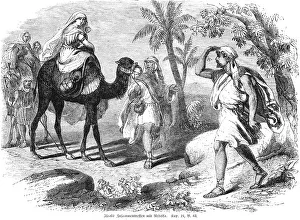 Historical Bible Images Drucke: Bible, Old Testament, Genesis, Chapter