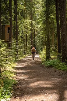 European Cycling Routes Drucke: Bicycle from behind through the forest