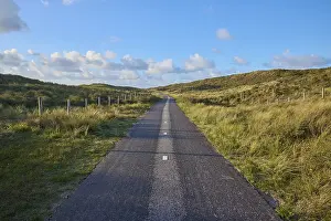 North Holland Province Drucke: Bicycle path, sand dune, clouds